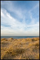 Dunegrass and clouds, Race Point Beach, Cape Cod National Seashore. Cape Cod, Massachussets, USA