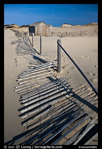 Fallen sand barrier, Cape Cod National Seashore. Cape Cod, Massachussets, USA (color)
