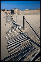 Fallen sand barrier, Cape Cod National Seashore. Cape Cod, Massachussets, USA (color)