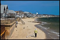 Woman walking two dogs on beach in winter, Provincetown. Cape Cod, Massachussets, USA