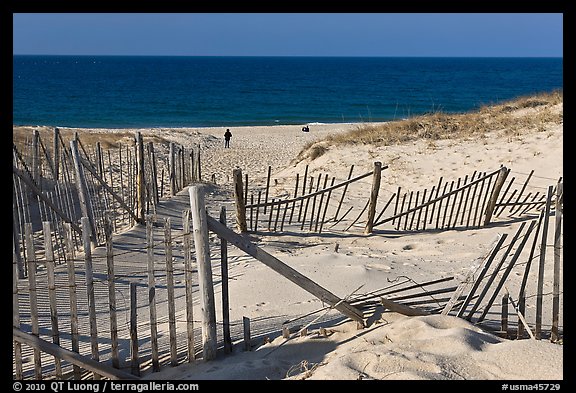Sand Fence, tourist, and ocean late afternoon, Cape Cod National Seashore. Cape Cod, Massachussets, USA