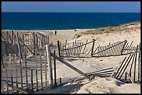 Sand Fence, tourist, and ocean late afternoon, Cape Cod National Seashore. Cape Cod, Massachussets, USA (color)