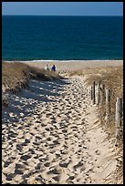Path to ocean through dunes and tourists, Cape Cod National Seashore. Cape Cod, Massachussets, USA