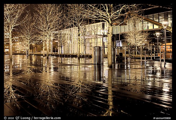 Trees reflected on boardwalk, and modern building at night. Boston, Massachussets, USA (color)