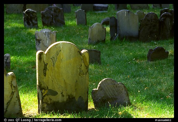 Tombstones in Copp Hill cemetery. Boston, Massachussets, USA (color)