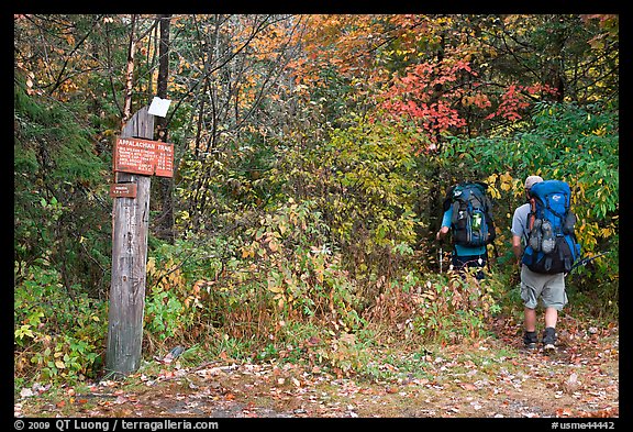 Backpackers hiking into autumn woods at Appalachian trail marker. Maine, USA