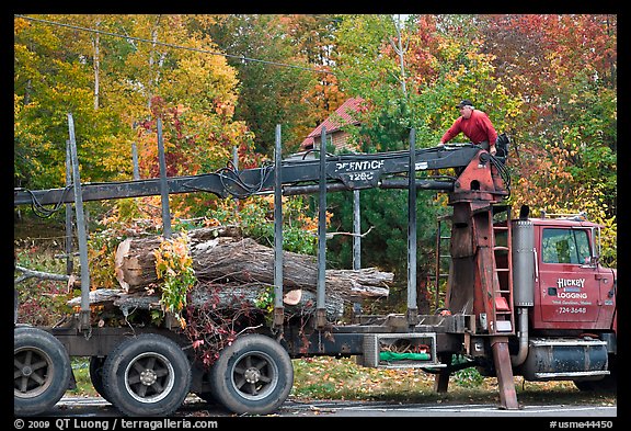 Tree pruning truck, Rockwood. Maine, USA