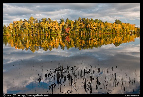 Reeds and trees in fall color reflected in mirror-like water, Greenville Junction. Maine, USA