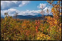 Autumn landscape with colorful leaves and distant mountains. Maine, USA