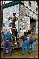 Hunters lifting dead moose for weighting, Kokadjo. Maine, USA ( color)