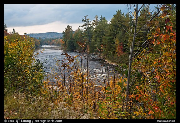 Penobscot River in the fall. Maine, USA