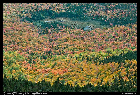 Mixed forest, meadow and pond seen from above. Baxter State Park, Maine, USA