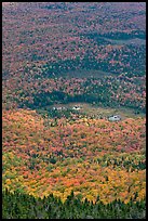 Forest and meadows from above. Baxter State Park, Maine, USA