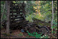 Remnants of railroad cars in the forest. Allagash Wilderness Waterway, Maine, USA (color)