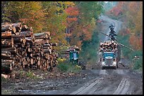 Log truck loaded on forestry road. Maine, USA