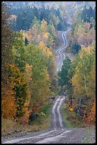 Meandering forestry road in autumn. Maine, USA (color)