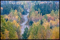 Northern forest in fall with narrow unimproved road. Maine, USA (color)