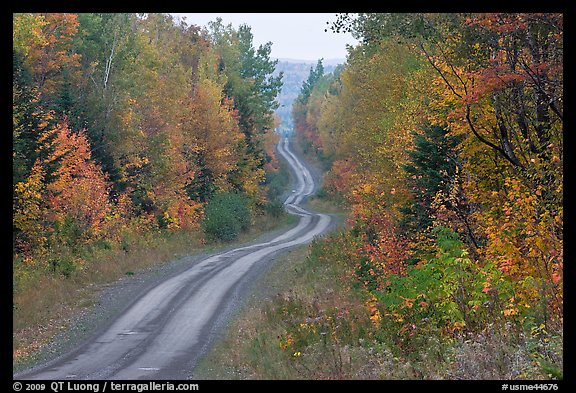 North Woods in autumn with twisting unimproved road. Maine, USA