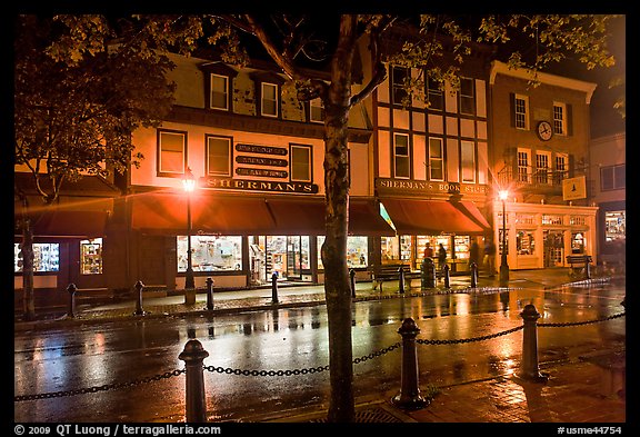 Street with wet pavement at night. Bar Harbor, Maine, USA