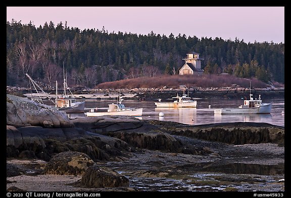 Fishing boats and forest. Stonington, Maine, USA (color)
