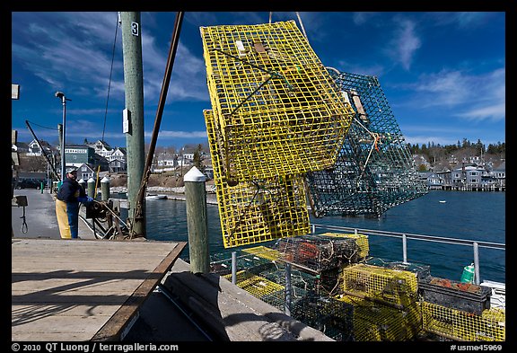 Lobsterman loading lobster traps. Stonington, Maine, USA