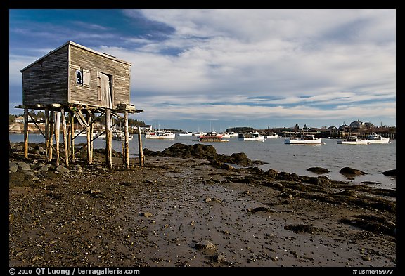 Tidal flats and harbor. Corea, Maine, USA