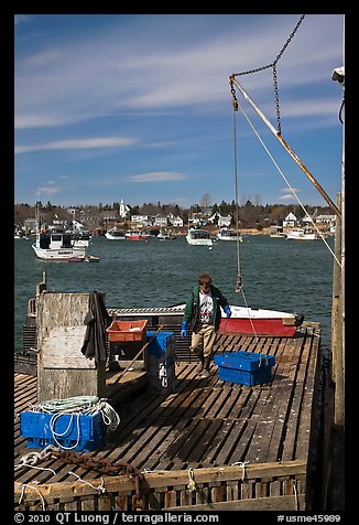 Man preparing to lift box from deck. Corea, Maine, USA