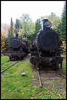 Two locomotives in the woods. Allagash Wilderness Waterway, Maine, USA ( color)