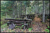 Rusting railway equipment in the woods. Allagash Wilderness Waterway, Maine, USA ( color)