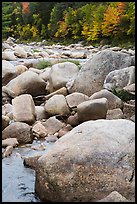 Boulders and Wassatotaquoik Stream in the fall. Katahdin Woods and Waters National Monument, Maine, USA ( color)