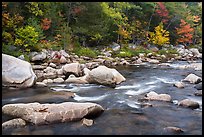 Wassatotaquoik Stream in autumn. Katahdin Woods and Waters National Monument, Maine, USA ( color)