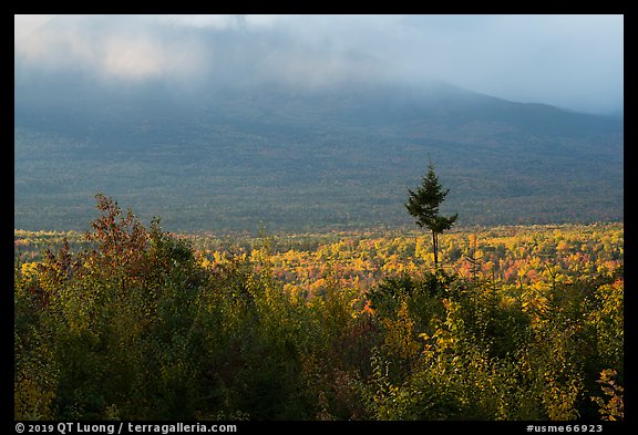 Valley with northern hardoods trees in autumn. Katahdin Woods and Waters National Monument, Maine, USA (color)