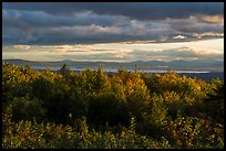 Millinocket Lake from Overlook, evening. Katahdin Woods and Waters National Monument, Maine, USA ( color)
