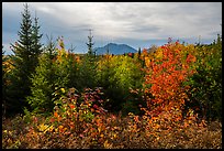 First view of Katahdin in autumn. Katahdin Woods and Waters National Monument, Maine, USA ( color)