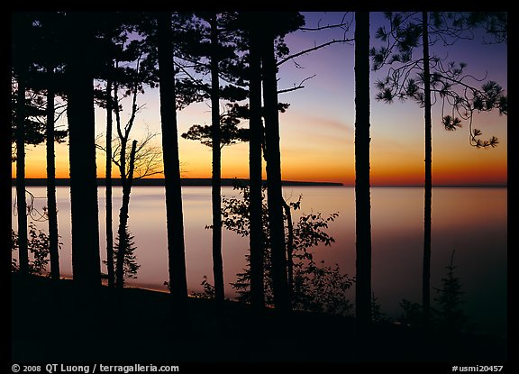 Trees and sunset, Lake Superior. Upper Michigan Peninsula, USA