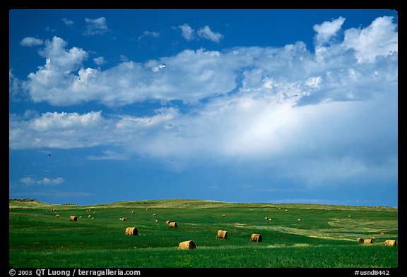 Field of grasses with hay rolls and big sky. North Dakota, USA