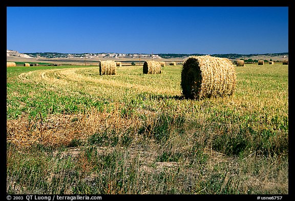 Hay rolls. Nebraska, USA (color)