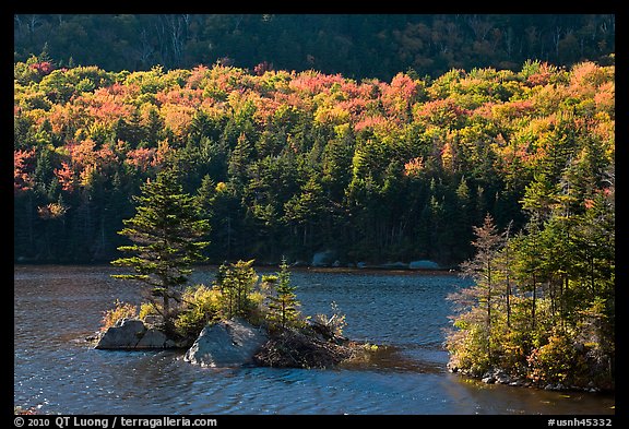 Islet on Beaver Pond in autumn, White Mountain National Forest. New Hampshire, USA