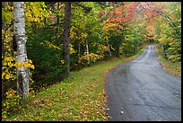 Rural road in autumn, White Mountain National Forest. New Hampshire, USA ( color)