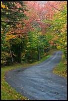 Rural road in the fall, White Mountain National Forest. New Hampshire, USA