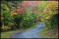 Country road in autumn, White Mountain National Forest. New Hampshire, USA ( color)