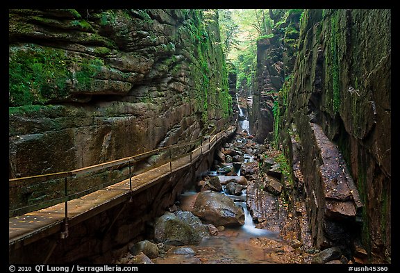 The Flume, narrow granite gorge, Franconia Notch State Park. New Hampshire, USA (color)