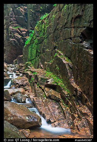 Flume brook at the base of granite and basalt walls, Franconia Notch State Park. New Hampshire, USA