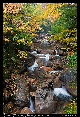 Cascading river in autumn, Franconia Notch State Park. New Hampshire, USA