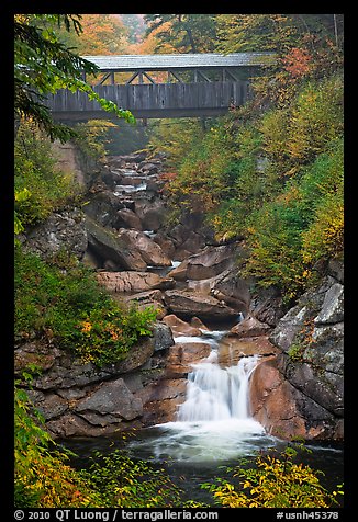 Covered bridge high above creek, Franconia Notch State Park. New Hampshire, USA (color)