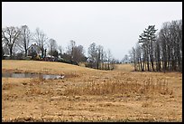 Rural scenery. Walpole, New Hampshire, USA