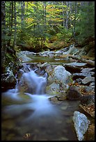 Stream in fall, Franconia Notch State Park. New Hampshire, USA