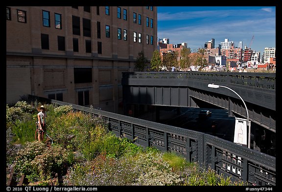 Garden on the High Line. NYC, New York, USA (color)