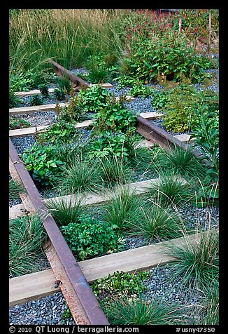 Retired railroad tracks, the High Line. NYC, New York, USA (color)