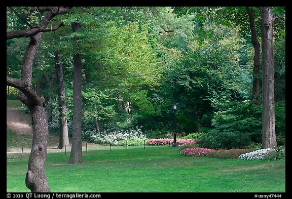 Lawn, trees, and flowers, Central Park. NYC, New York, USA (color)